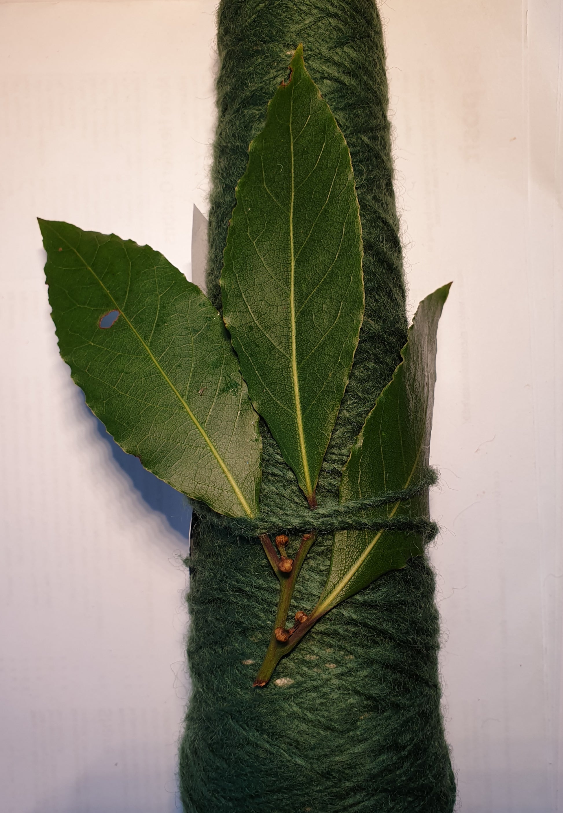 Green rug yarn with bayleaves